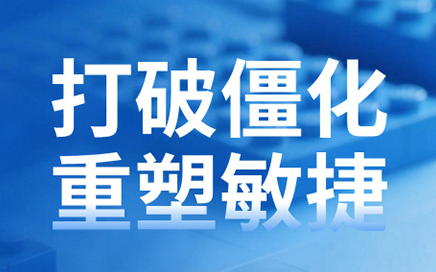 打破僵化，重塑敏捷：弹性HCM系统，快速响应业务变化